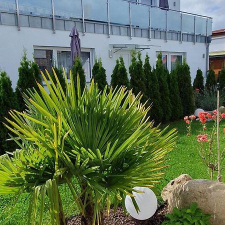 Ferienwohnungen "Godewind", Appartements Mit Balkon Oder Terrasse Zinnowitz Eksteriør billede
