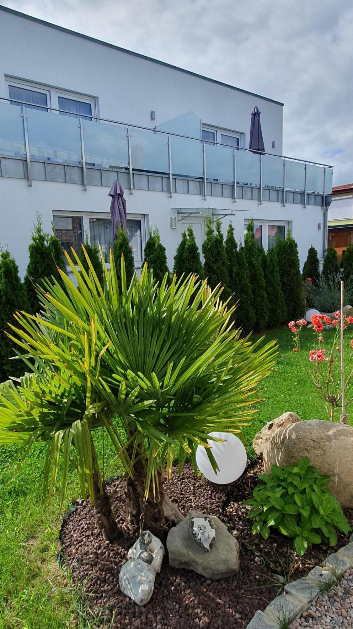 Ferienwohnungen "Godewind", Appartements Mit Balkon Oder Terrasse Zinnowitz Eksteriør billede